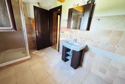 Casa de vacanta de vânzare Cornetu -Mihailesti - 13