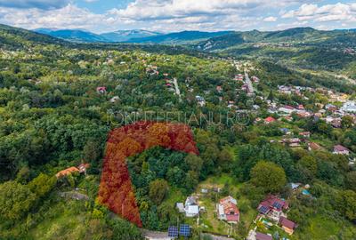 Teren Construcții intravilan de 3886 mp, în Podul Vadului
