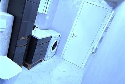 Apartament 2 Camere Bucium - 450 euro - 20