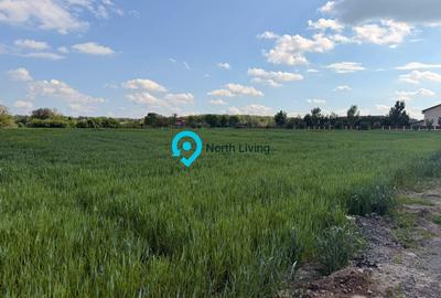 Teren Snagov - Cioflinceni | Drum amenajat | Aproape de Padure si Lac - 3