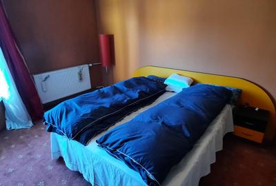 De vanzare casa 5 cam, singur in curte, Cal. Voinicenilor, Zona Horgosa - 19