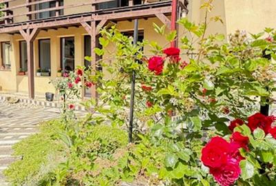 ZONA PARC - Valea Rosie (sus) casuta + vila cu teren 834mp finisate! - 3