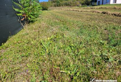 Teren de vanzare – Popesti Vale, 3600 mp - 4