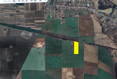 GRADISTEA - Sat Sitaru, Tarla 43, vanzare 22.200 mp. teren cu acces din DJ101 - 3