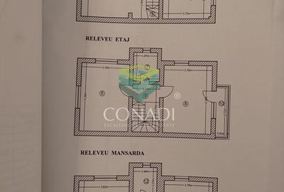 Casa cu 5 camere Nordului-Herastrau - 17