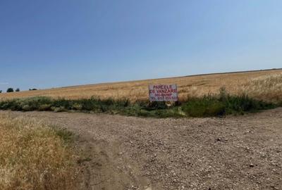 Teren intravilan Giarmata PUZ aprobat - ideal duplex - case insiruite - 1