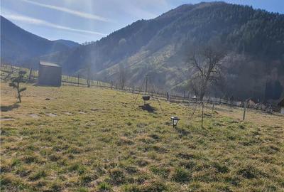 Vindem urgent 1035mp teren intravilan in Rau Sadului ,  SIBIU - 19