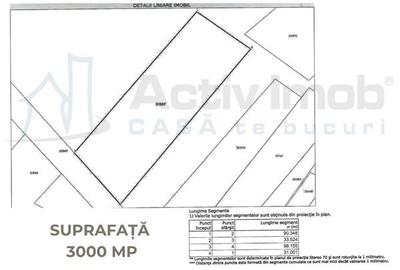 Teren Intravilan langa Dunare!  Disponibil la 15 Euro mp - 7