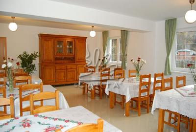 Vila de Vânzare lângă Castelul Bran – Oază de Liniște și Eleganță - 9