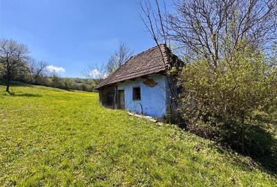Casa traditionala,zona pitoreasca,domeniu de 3.400 mp,Suveica,Acatari,Mures - 19