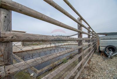 Ferma moderna de porci de vanzare in Curtuiusu Dejului - 12