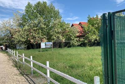 Teren 934mp, utilitati, Certificat Urbanism, str Primaverii Nord Paradisul Verde - 1