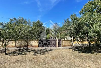 Teren 1680 mp, Seceani, 26 Km de Timisoara, COMISION 0%. - 1