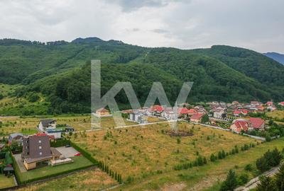 Locatie unica pentu pentru dezvoltari imobiliare - 4