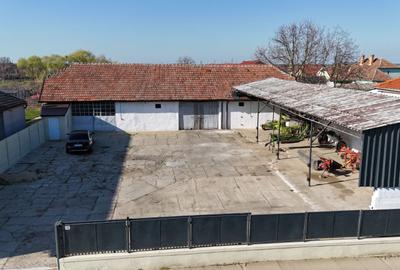 Dudestii Noi, Hala, Disponibila imediat - 1