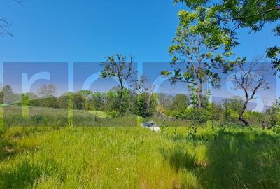 CASA TARANEASCA | TEREN 3000 MP | DESCHIDERE 52 M | COMUNA CIOLANESTI - 3