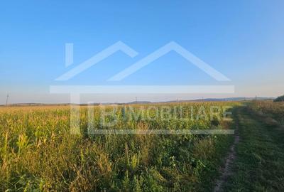Teren intravilan, 1476 mp, Zona Ungheni - 1