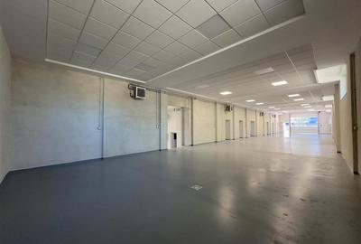Spatiu Valea Lupului, Antibiotice, multifunctional, 334mp - 6