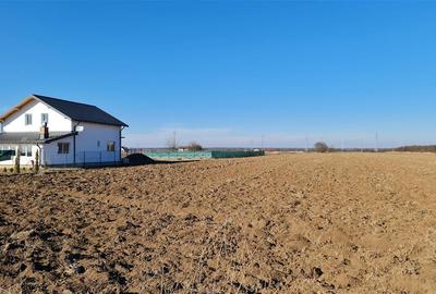 Vanzare Teren intravilan Peris - Ilfov - 6