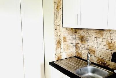 Vand garsoniera renovata cu centrala proprie - Bd. Basarabia/Chisinau  - oferta - 3