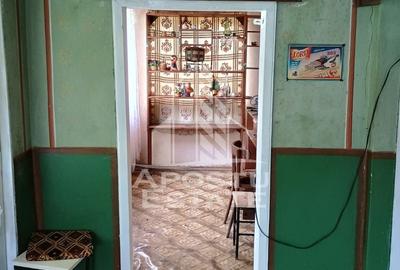 Casa batraneasca de vanzare, 4 camere, in Hunedoara, sat Micanesti - 46
