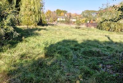 Teren agricol intravilan de 1000 mp, în Tunari