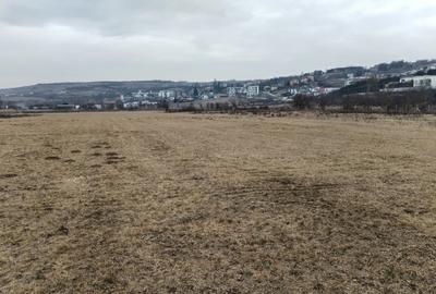 Teren Construcții intravilan de 4300 mp, în Borhanci