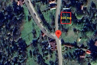 8000 Euro vanzare 220 mp teren asfalt apa gaz si curent Cosminele Prahova superb - 1