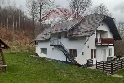 Casă individuală cu 7 camere în Tohănița