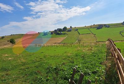 Teren Intravilan 1587 mp, Localitatea Maguri-Racatau - 1