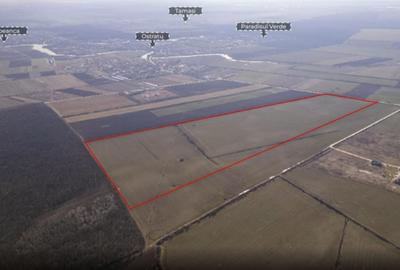 Teren 45 Ha Corbeanca – PUZ Ansamblu Rezidențial | Proiect Inclus - 1