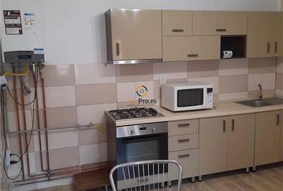 Vila Individuala Timisoara - 2