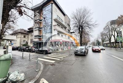 Casă individuală cu 10 camere în Dorobanți