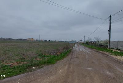 Sabareni - Certificat de Urbanism - 5808mp teren pentru investitie !! - 14