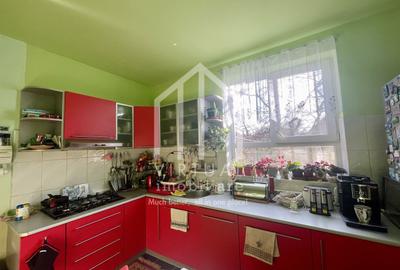 Casa de vanzare in Sibiu, 260mp, 113 mp curte libera, Trei Stejari - 8