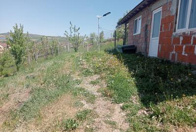 Casă tip studio de închiriat – Șura Mare | 36 mp | Priveliste superbă - 3