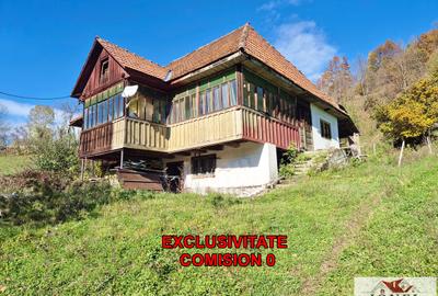 Casa de vanzare in Trampoiele (Zlatna) - 1