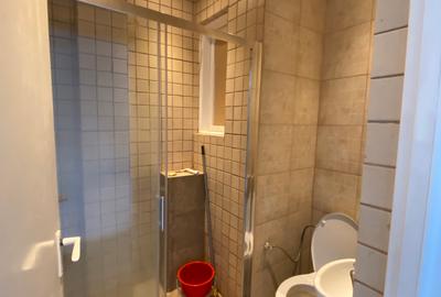 APARTAMENT 3 DORMITOARE DE INCHIRIAT ARMENEASCA - VASILE LASCAR - 8