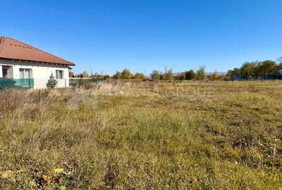 Teren intravilan, PUZ aprobat, 800 mp, Fish4Life - Harman, Brasov - 6