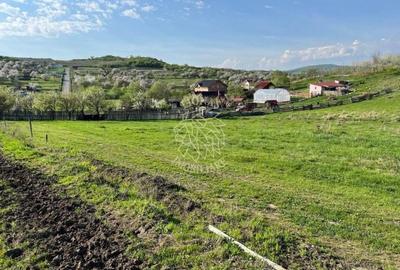 Teren agricol extravilan de 3300 mp, în Periferie
