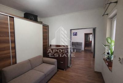 Casa individuala cu 5 camere Calea Lipovei - 8