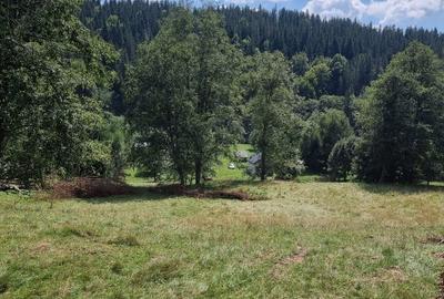 Vand teren 7800mp din care 3000 intravilan si 3800 mp padure - 4