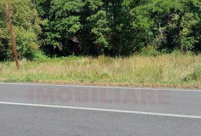 TEREN INTRAVILAN ÎN MARGA-LA DN68 JUD.CARAȘ-SEVERIN - 2