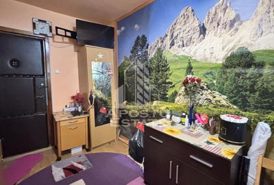 3 camere de camin renovate, mobilate si utilate, zona Dambovita - 10
