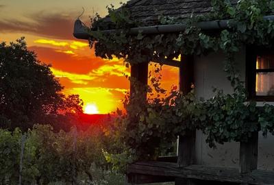 Proprietate istorică , crama +vie DOC + distilerie +loc. evenimente+ 20000 vin - 14