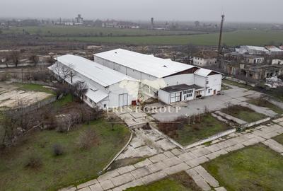 Teren Caracal 28.788m + Hale industriale + Sediu Firma - 13