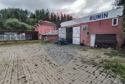 Spațiu industrial de 481mp, cu 1746mp teren în zona Centrala - 2