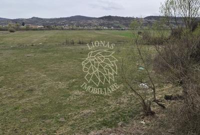 Teren 1000 mp-Oportunitate de Investitie-Zona Aerodrom - 1