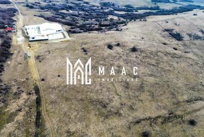 Teren 6,75 ha | Panoramă și Acces Excelent | Dealul Daii - 4