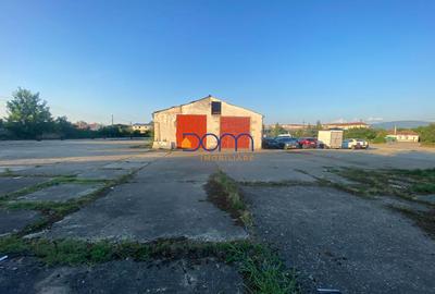 Teren intravilan 21. 700 mp, ideal dezvoltare imobiliara - 7